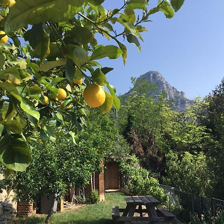 Au Pied Des Baous Bed & Breakfast Ванс Екстериор снимка