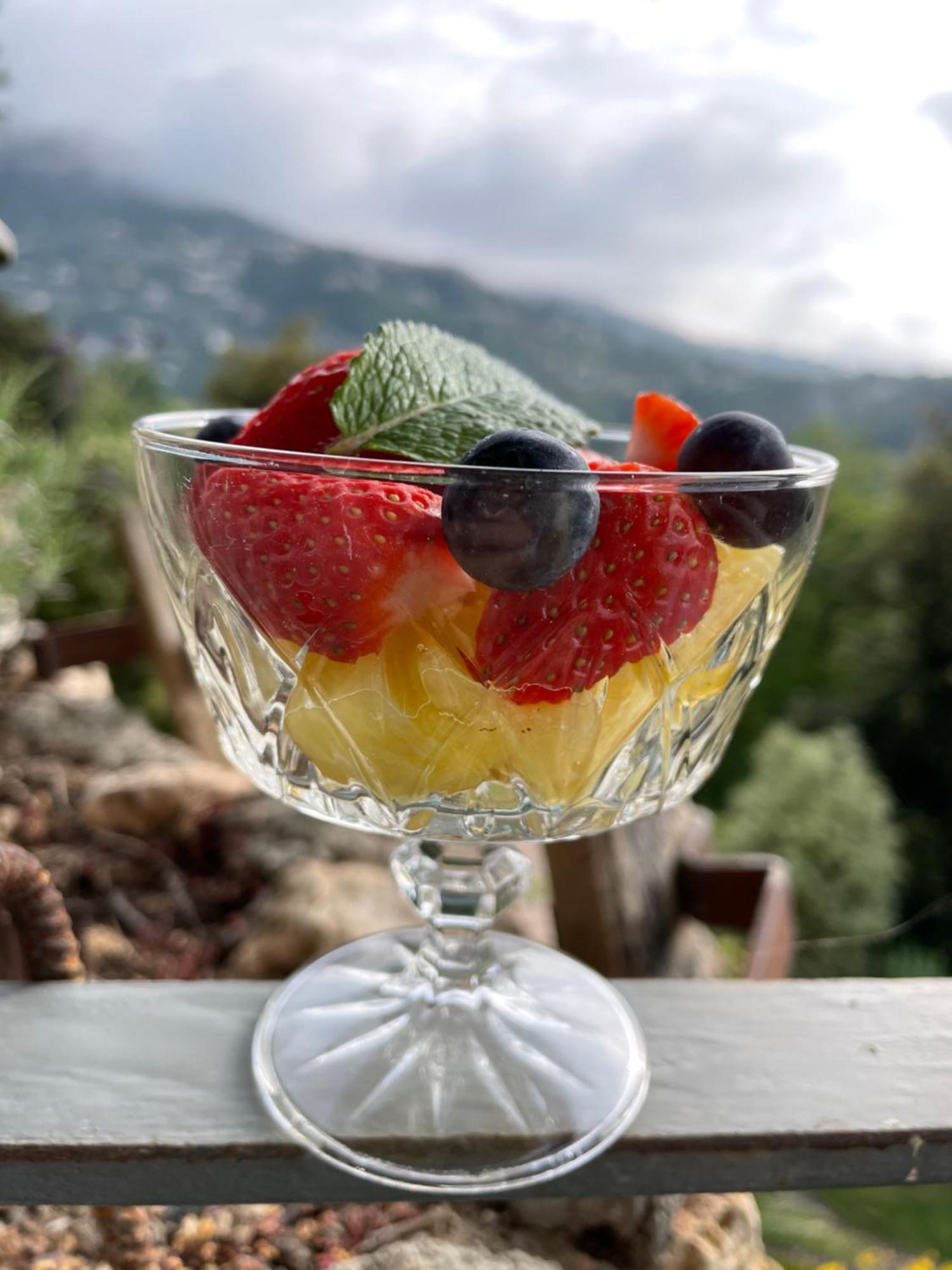 Au Pied Des Baous Bed & Breakfast Ванс Екстериор снимка